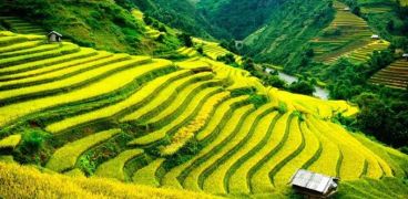 Sapa Tour Packages