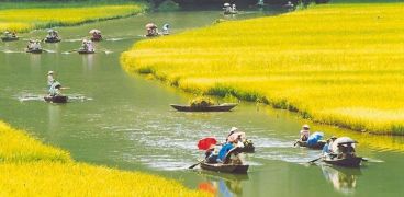 Northern Vietnam Tours