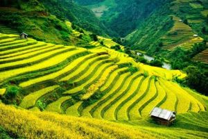 2 Days Sapa Tour From Hanoi By Limousine Bus