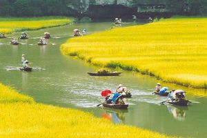 Ninh Binh Day Tour (Hoa Lu, Tam Coc)