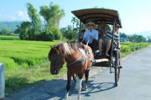 Nha Trang Countryside Shore Excursion
