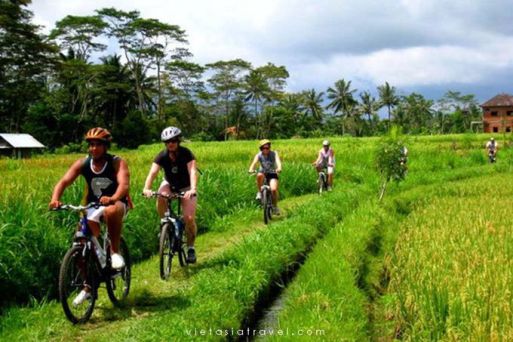 Cycling in Ninh Binh