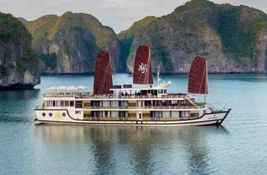 Orchid Trendy Cruise