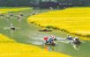 Ninh Binh Day Tour (Hoa Lu, Tam Coc)