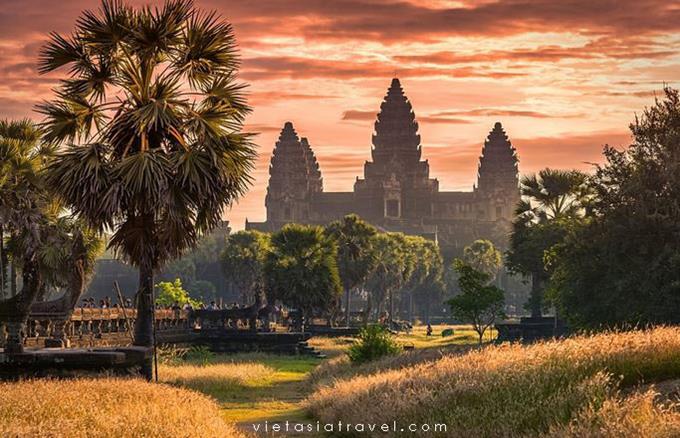 Siem Reap: Angkor Thom, Angkor Wat & Ta Prohm Tour (B)