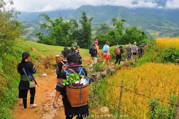 Hanoi To Sapa, Visit Cat Cat Village  (B/L/D)