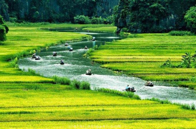 Hanoi - Day Trip To Ninh Binh  (B/L)