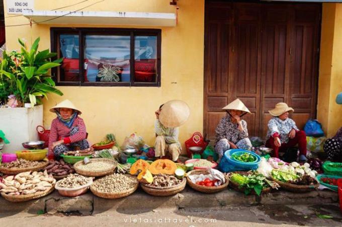 Visit Myson Sanctuary & Hoi An Town (B)