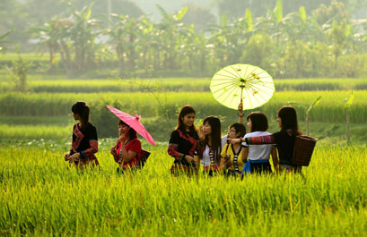 Mai Chau  (B/L)