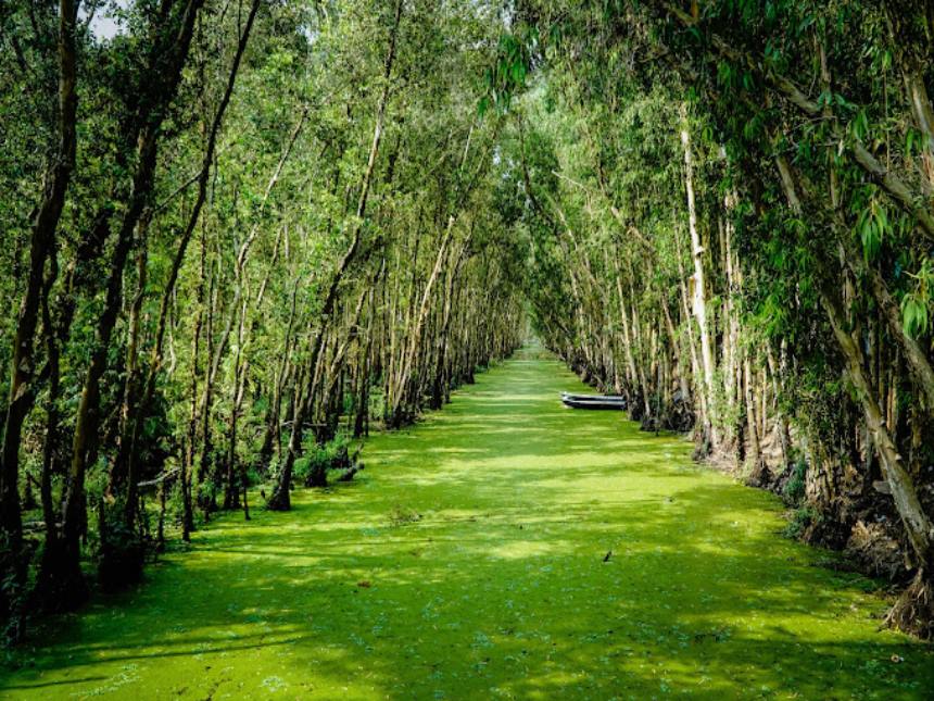 Can Tho - Chau Doc - Tra Su Sanctuary (B/L)
